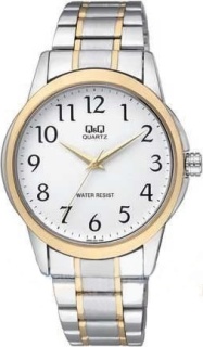 Q&Q Q860J404