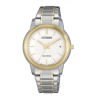 Citizen FE6016-88A
