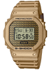 Casio DWE-5600HG-1E