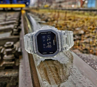 Casio DW-5600SKE-7E